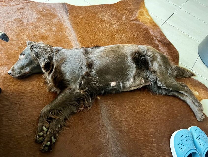 Babybäuchlein