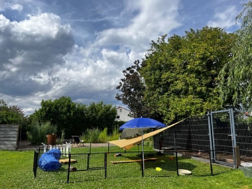 mit Sonnenschutz